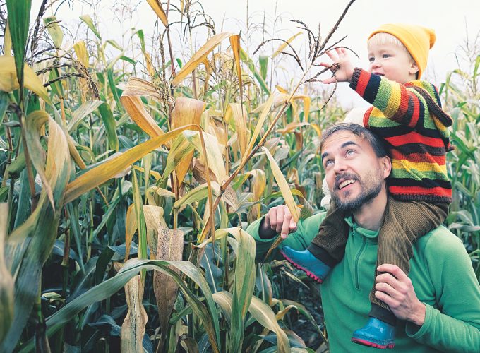 Farmers embrace fall agritourism